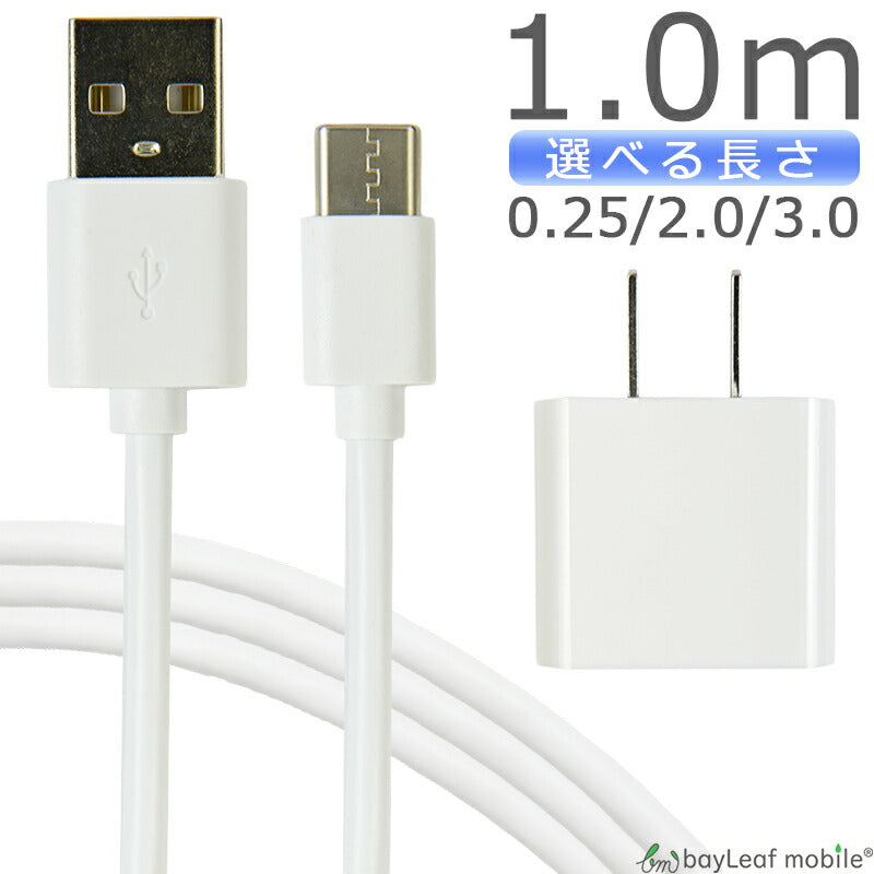 マイクロUSBケーブル iphone 充電器セット 充電ケーブル type-cケーブル タイプC ケーブル 2本セット ACコンセント ACアダプタ USBコンセント ポイント消化 ぽっきり価格