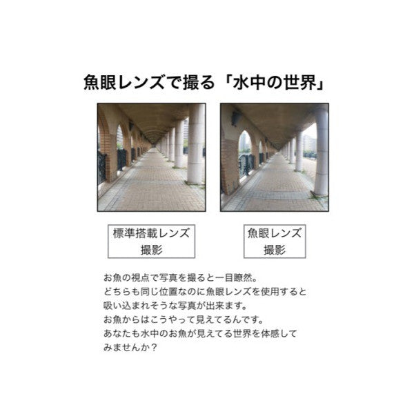 セルカレンズ i3in1 3種セット 魚眼 iphone iphone6 iPhone6S iPhone5S 自撮り 自分撮り レンズ スマホ スマートフォンphone7 魚眼レンズ レンズ 広角 ワイド マクロ 0.67x