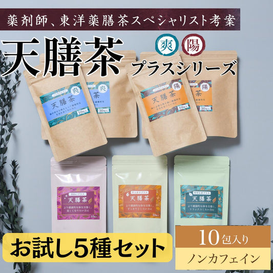天膳茶 陽 爽 プラスシリーズ 5種セット 薬膳茶 健康茶 漢方茶 ノンカフェイン カフェインレス ティーバッグ 美容 元気 お茶 お得