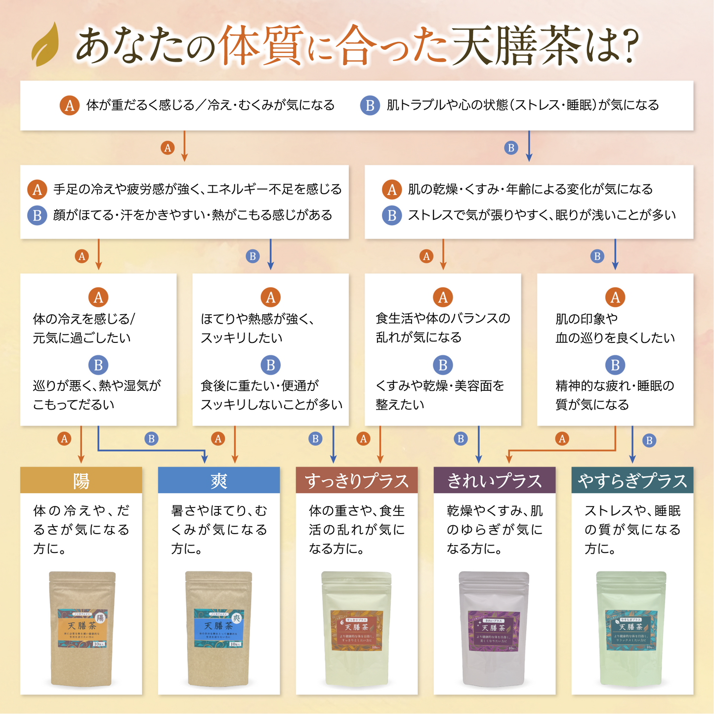 天膳茶 陽 爽 10包入 2種セット 薬膳茶 健康茶 漢方茶 ノンカフェイン カフェインレス ティーバッグ 美容 元気 お茶 お得