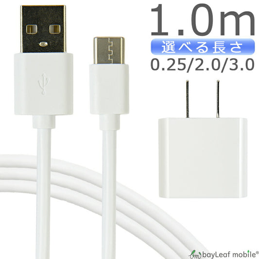 マイクロUSBケーブル iphone 充電器セット 充電ケーブル type-cケーブル タイプC ケーブル 2本セット ACコンセント ACアダプタ USBコンセント ポイント消化 ぽっきり価格