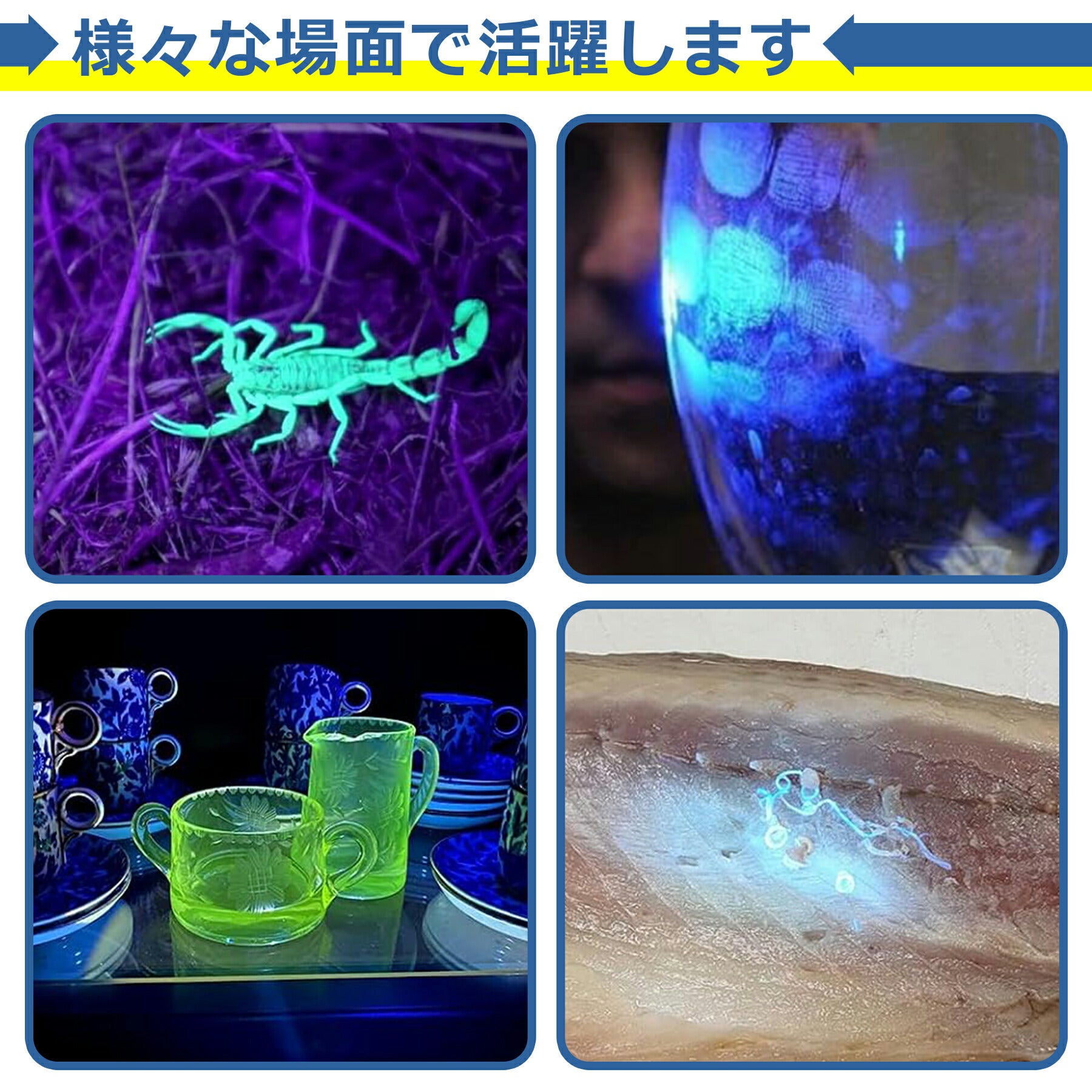 ブラックライト UV 紫外線ライト 電池式 12LED 懐中電灯 ハンディライト 片手 軽量 ミニ サイズ 乾電池 汚れ確認 アウトドア アニサキス 掃除 照射 偽造 防止 小型 蛍光 偽札鑑定
