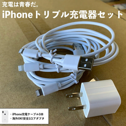 iPhone 充電 ケーブル アイフォン 1m 充電器 コンセント ac USB アダプタ データ 通信 同期