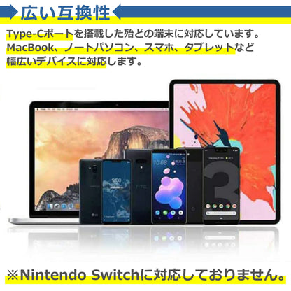 Type-C 有線LAN 変換 アダプタ 100Mbps RJ45 ケーブル イーサネット 同時充電 アプリ不要 USB タイプC スマホ タブレット 在宅 勤務 ウェブ 会議 データ 通信