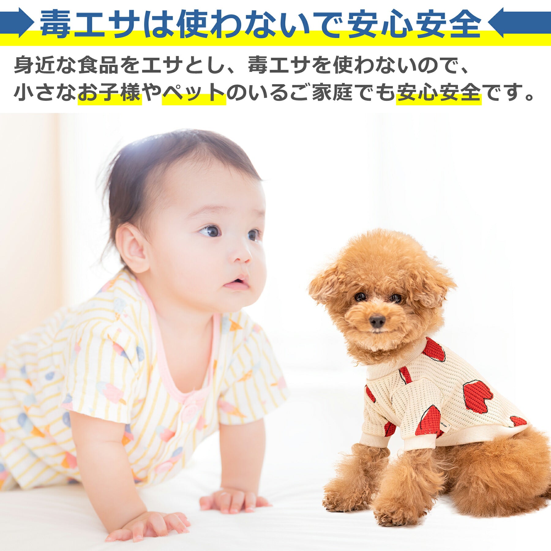 ゴキブリ 捕獲器 虫 捕虫器 トラップ 生け捕り式 ボックス 誘引器 キャッチャー 昆虫 採取 退治 対策 再利用可能 家庭用 キッチン リビング 寝室 子供やペットに安心