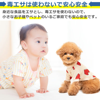 ゴキブリ 捕獲器 虫 捕虫器 トラップ 生け捕り式 ボックス 誘引器 キャッチャー 昆虫 採取 退治 対策 再利用可能 家庭用 キッチン リビング 寝室 子供やペットに安心