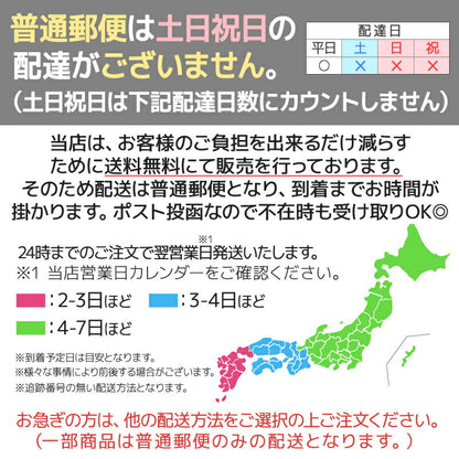ダミーカメラ 防犯カメラ ドーム型 疑似 フェイク 監視 天井取付け 半円形 電池式 屋内 セキュリティ対策 防犯グッズ