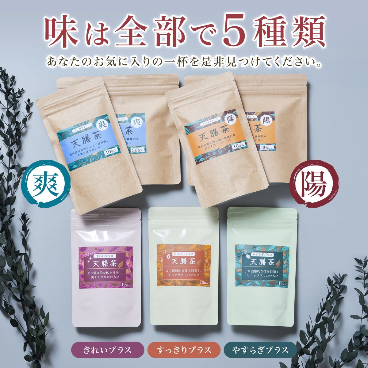 天膳茶陽爽10包入薬膳茶健康茶漢方茶ノンカフェインカフェインレスティーバッグ美容元気お茶